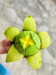 Cơm bơ vàng chành béo dẻo ngậy tại Quảng Nam