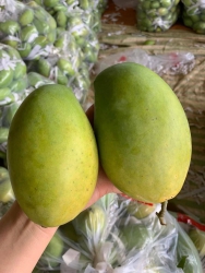 Hàng về sẵn lên đơn e giao nha Vú sữa tím l1 quả to xoai keo xanh Cam vinh loai 1 quả to quýt sim tại Quảng Nam