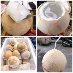 Xe bỏ dư thùng dừa xiêm trọc Bến Tre ngọt lịm tại Quảng Nam