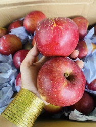 Ngon hon tao nhap la co thiet ,gion ngot lam nha tại Quảng Nam