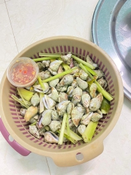 Sốc - Sẵn ốc - Đang giao hàng tại Quảng Nam