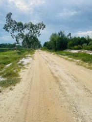 Diện tích 600m2 đất trồng cây hằng năm tại Quảng Nam