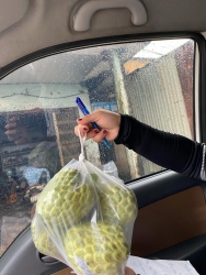  siêu rẻ nha #85k 3 kí 6 kí Miễn síp tại Quảng Nam