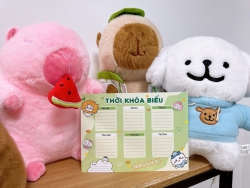 Mở màn cho năm học mới 2024-2025 với set 4 tấm Thời Khóa Biểu - 4 tone màu cực yêu cùng CAPYBARA - MALTESE - CHIIKAWA hot hit tại Quảng Nam