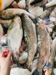  hồi tươi Sapa tại Quảng Nam