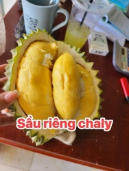 Trùi ui mai thứ cuối tuần tùm lum món ngon thấy đã lun khách nha tại Quảng Nam