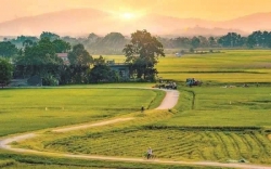 Mình thích sưu tầm hình ảnh những con đường tại Quảng Nam