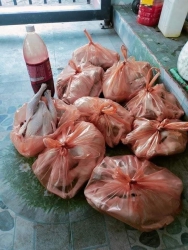 Vít đồng mới nhất lòng tiết canh tại Quảng Nam
