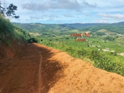 Đất Lâm Đồng 260 ha tại Quảng Nam