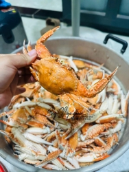 Ghe bao mai len go luoi tại Quảng Nam