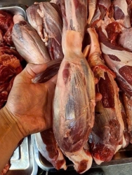 Lên đơn đuôi bò khách ơi tại Quảng Nam