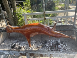 3h chiều nay e có dê quay tại Quảng Nam