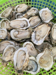 i Đỏ tại Quảng Nam