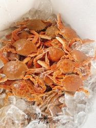 Ghẹ tươi chắc thịt tại Quảng Nam