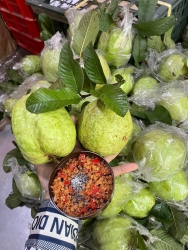 Trời nắng nóng hanh không vườn ổi cực kì ngọt ,mai vườn lại cắt ổi tại Quảng Nam