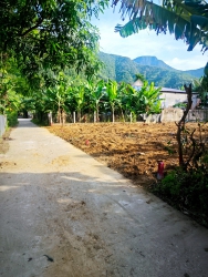 Chính chủ cần bán lô đất 125m2 nở hậu giá 299 triệu tại Quảng Nam