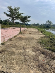 Đất view lúa đẹp gần Hội An tại Quảng Nam