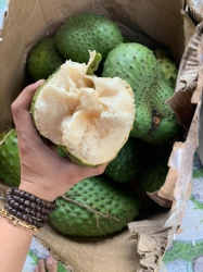 Món ni có ai hóng không tại Quảng Nam
