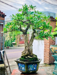 Đất Điện An gần trục chính tại Quảng Nam