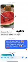 Dưa không hạt Tết 6 năm nay vẫn như thế tại Quảng Nam