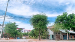 nh Tông, TP Tam Kỳ tại Quảng Nam