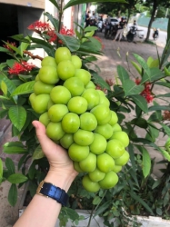 Menu món ăn khuyến mãi thứ sáu tại Quảng Nam