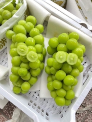 ch ơi, e dư 30 rành ... tại Quảng Nam