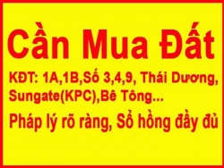 Cần mua đất khu đô thị điện ngọc, thái dương, sungeta (khu phố chợ) tại Quảng Nam