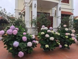Mời quý khách đến vườn ủng hộ tại Quảng Nam