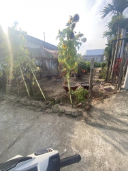 Bán lô đất cách chợ 607 50m, diện tích 6x31m, dân cư đông đúc tại Quảng Nam