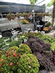 CÔNG TY TNHH TƯ VẤN THIẾT KẾ ĐẦU TƯ XÂY DỰNG 79DESIGN tại Quảng Nam