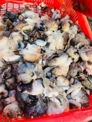 Ruộc ốc giấy ngon béo giòn tại Quảng Nam