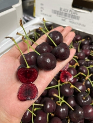 Cherry Pholen chua ngọt cho siêu ngon tại Quảng Nam