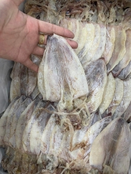 thời trang trẻ chân thủ chơn nhà tại Quảng Nam