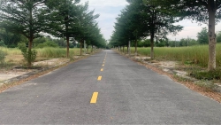 Bán nhanh lô đất giá sụp hầm cách đường 607 chỉ hơn 100m tại Quảng Nam