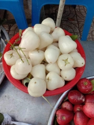  tại Quảng Nam