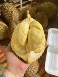Sầu hạt loại 1 hạt tròn ủm bảo ăn, bao sượng tại Quảng Nam