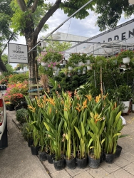  tốt tại Quảng Nam