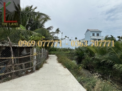 Đất hẻm Huỳnh Thị Lựu diện tích lớn - view dừa - giá đầu tư tại Quảng Nam