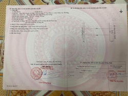 Bán đất mặt tiền Phạm Đình Hổ - Hoà Minh - Liên Chiểu tại Quảng Nam
