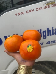 Hồng Mật Vân Sơn (Hồng Socola) - Đệ Nhất Trong Các Loại Hồng tại Quảng Nam