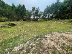 n lô đất khai hoang Hòa Sơn tại Quảng Nam