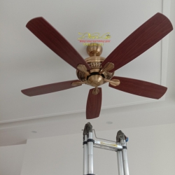 SIÊU THỊ ĐÈN TRANG TRÍ PHA LÊ & bùng sáng mỡ khuôn giàn tại Quảng Nam