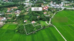 Chào bán lô nhà vườn view cánh đồng lúa đẹp tại Quảng Nam