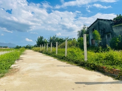 Cần mua đất để làm nhà yến hoặc nhà vườn nghỉ mát tại Quảng Nam