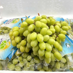 Bán nho Mỹ và tặng áo mưa cho các em Bắc Trà My tại Quảng Nam