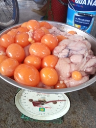 Khuya nin làm gà đám Có đc 4 ký trứng non+ da trường Tươi 100 nhé tại Quảng Nam