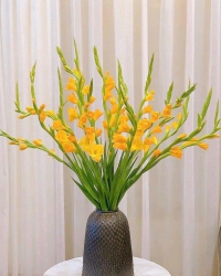 Hoa Layon Đỏ và Vàng Đà Lạt Tươi tại Quảng Nam