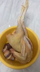 Tạnh ráo rồi mọi người mua gà về thả nuôi tếtĐẻ trứng Gà kiến già ngày tháng..ăn lúa bắp rau cám tại Quảng Nam