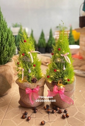 CÔNG TY TNHH TƯ VẤN THIẾT KẾ ĐẦU TƯ XÂY DỰNG 79DESIGNVăn phòng / Cơ sở vườn cây xanh 79GARDEN tại Quảng Nam